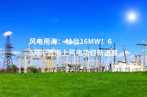 風電用海：41臺16MW！65萬千瓦海上風電項目新進展