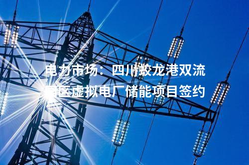 數(shù)智化:國內(nèi)首個村級自治微電網(wǎng)示范工程正式建成投運