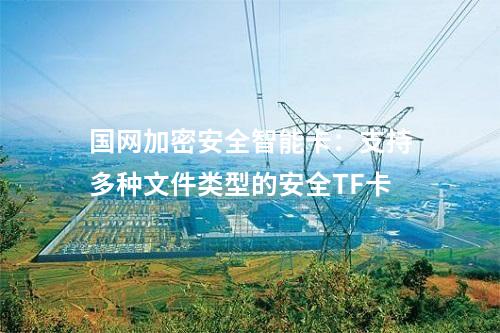 國(guó)網(wǎng)加密安全智能卡:提供高效數(shù)據(jù)加解密服務(wù)的高性能安全TF卡