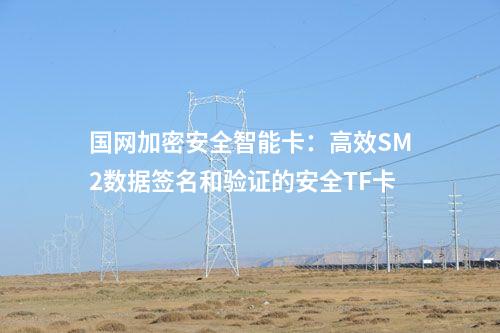 國網(wǎng)加密安全智能卡:高效SM2數(shù)據(jù)簽名和驗證的安全TF卡