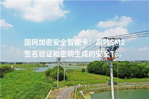 國網(wǎng)加密安全智能卡：支持SM1、SM2、SM3算法的高安全性TF卡