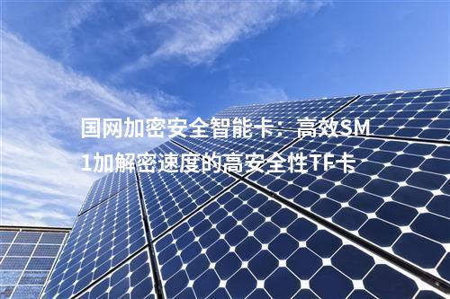 國網(wǎng)加密安全智能卡:高效SM1加解密速度的高安全性TF卡