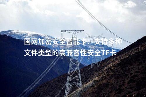 國網(wǎng)加密安全智能卡:支持多種文件類型的高兼容性安全TF卡