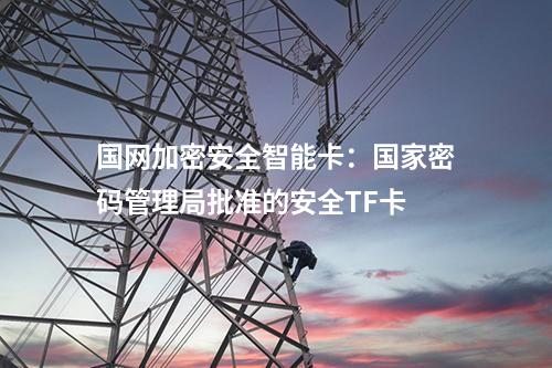 國(guó)網(wǎng)加密安全智能卡：國(guó)家密碼管理局批準(zhǔn)的安全TF卡