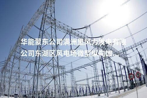 華能蒙東公司滿洲里風(fēng)力發(fā)電有限公司東湖區(qū)風(fēng)電場(chǎng)微型縱向加密及雙北斗對(duì)時(shí)裝置物資采購詢價(jià)公告
