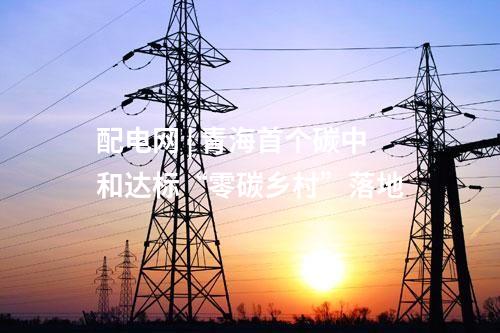 配電網(wǎng) | 青海首個碳中和達(dá)標(biāo)“零碳鄉(xiāng)村”落地