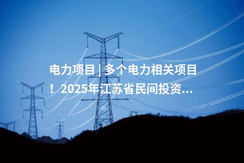 電力項目 | 多個電力相關項目！2025年江蘇省民間投資重點產業(yè)項目名單發(fā)布