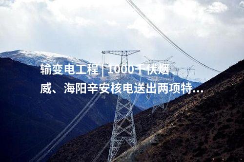 輸變電工程 | 1000千伏煙威、海陽辛安核電送出兩項(xiàng)特高壓工程獲得核準(zhǔn)