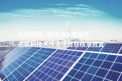 異質(zhì)結(jié)組件 | 5GW高效異質(zhì)結(jié)組件首件下線！