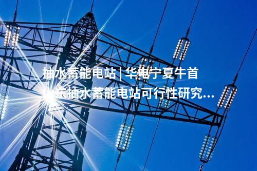 抽水蓄能電站 | 華電寧夏牛首山東抽水蓄能電站可行性研究階段內(nèi)審工作完成