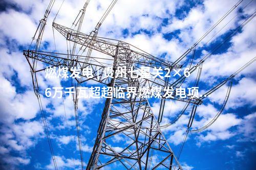 火電建設(shè) | 威海熱電2×66萬千瓦熱電聯(lián)產(chǎn)項目全過程監(jiān)理服務(wù)中標公告