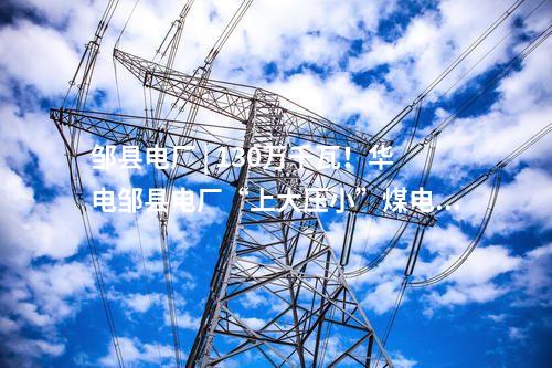 鄒縣電廠 | 130萬千瓦！華電鄒縣電廠“上大壓小”煤電項目主機選型方案討論會召開