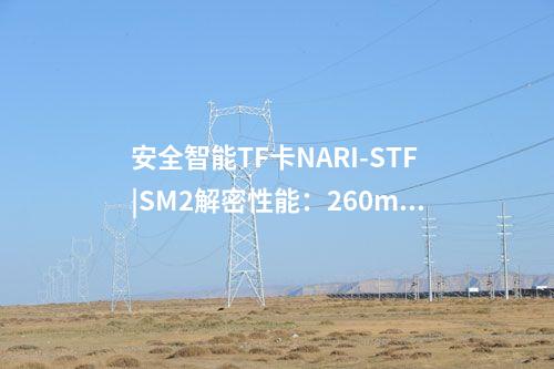 安全智能TF卡NARI-STF|SM2解密性能:260ms/次