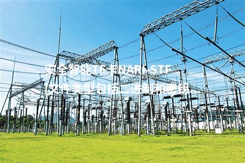 安全智能TF卡NARI-STF|文件類型包括二進制和密鑰文件