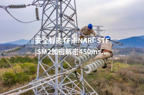 安全智能TF卡NARI-STF|SM2加密解密450ms/次、260ms/次