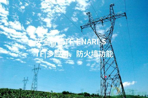 安全智能TF卡NARI-STF|多應(yīng)用、防火墻功能