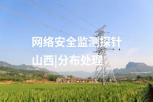 網(wǎng)絡(luò)安全監(jiān)測(cè)探針山西|分布處理
