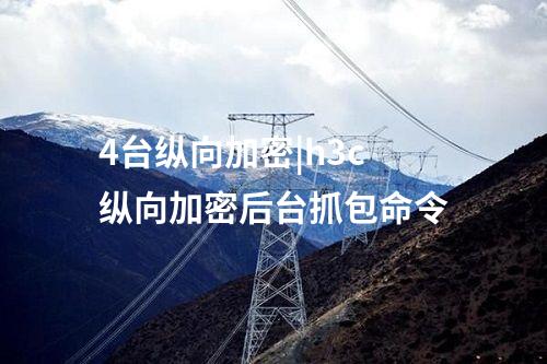 4臺(tái)縱向加密|h3c縱向加密后臺(tái)抓包命令