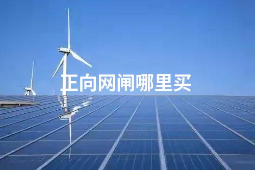 正向網(wǎng)閘哪里買