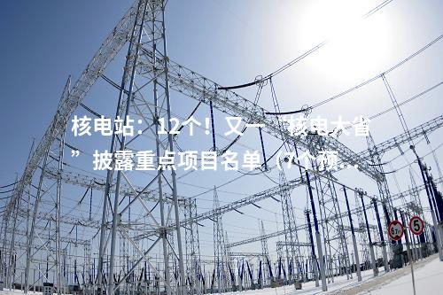 核電站：12個(gè)！又一“核電大省”披露重點(diǎn)項(xiàng)目名單（7個(gè)預(yù)備項(xiàng)目）