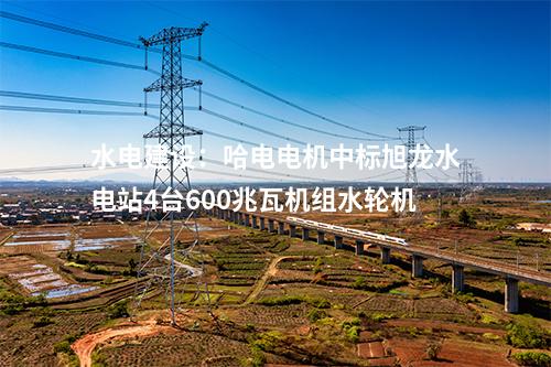 水電建設(shè):哈電電機(jī)中標(biāo)旭龍水電站4臺(tái)600兆瓦機(jī)組水輪機(jī)